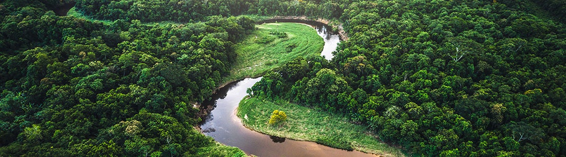 Nachhaltige Landwirtschaft