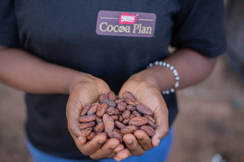 Nestle Cocoa Plan