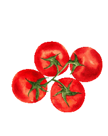 Tomaten