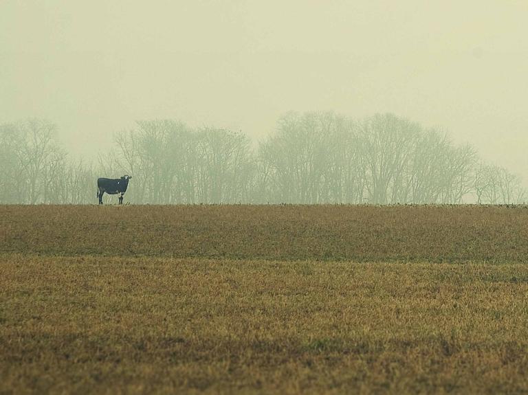 La réalité : Le changement climatique est déjà à notre porte