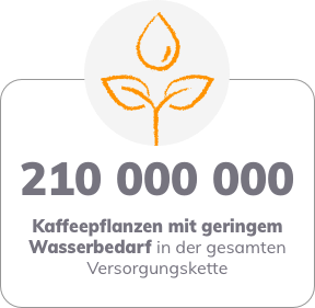 Keffeepllanzen