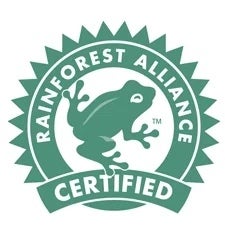 Rainforest