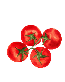 Tomaten